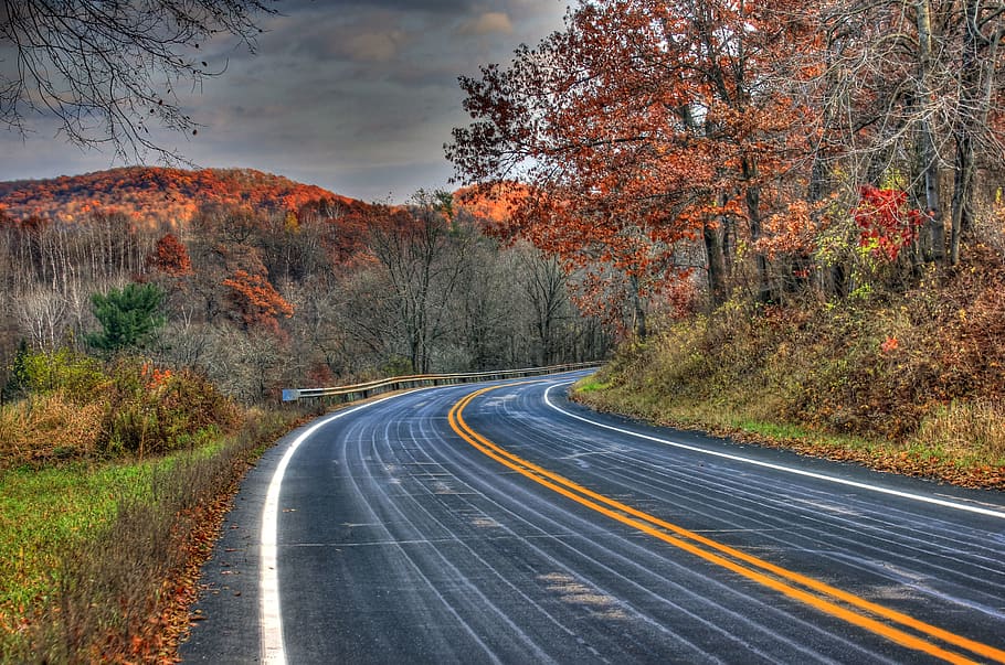 road between trees and grass, way, highway, wildcat mountain state park HD wallpaper