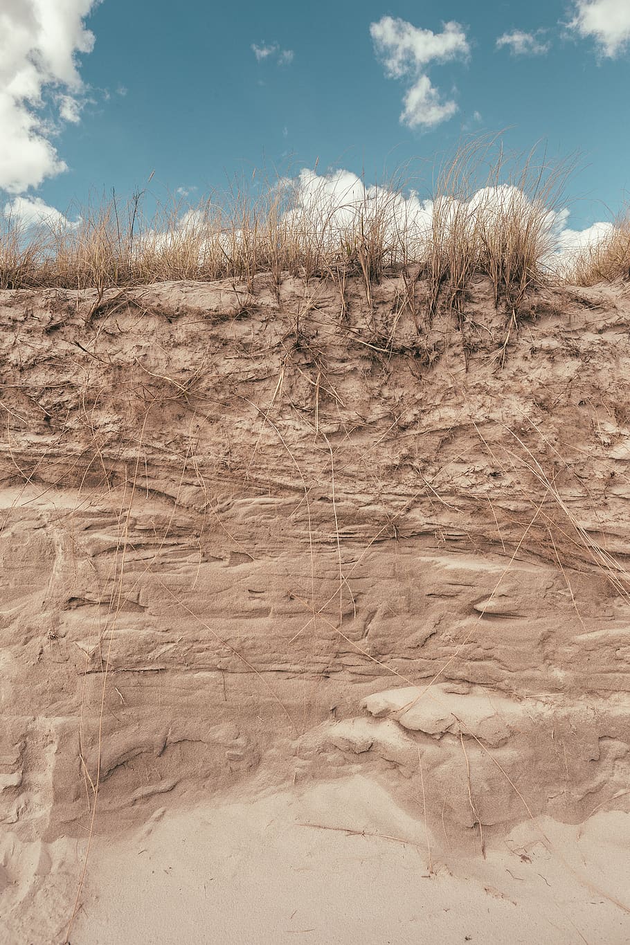 plant, sky, land, nature, cloud - sky, landscape, day, sand HD wallpaper