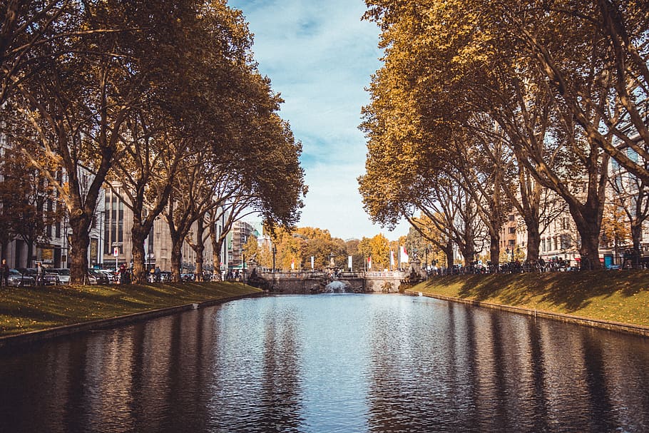 river surrounded by trees under clear day sky, water, architecture HD wallpaper