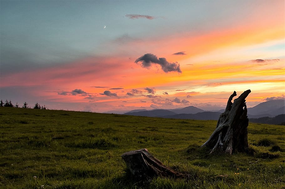 sunset, pasture, meadow, landscape, sky, clouds, grass, nature HD wallpaper