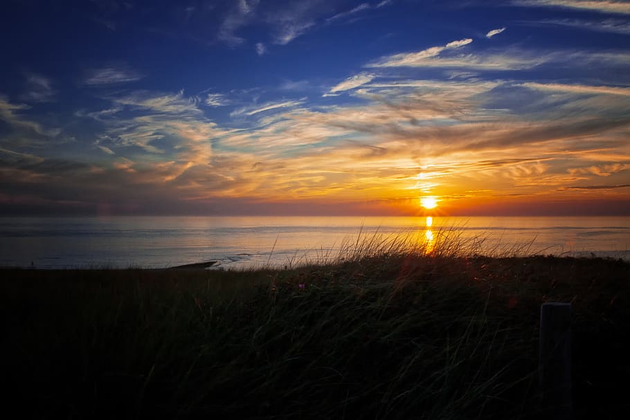 Green Grass Beside Ocean during Golden Hour, backlit, clouds HD wallpaper