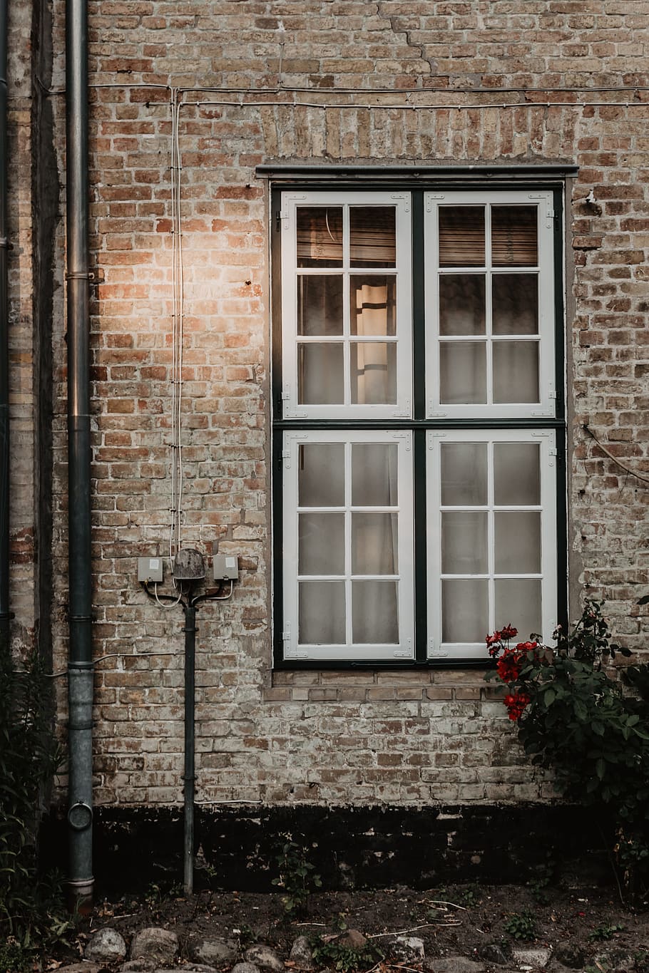 gray water pipe near white wooden framed glass windows, building HD wallpaper