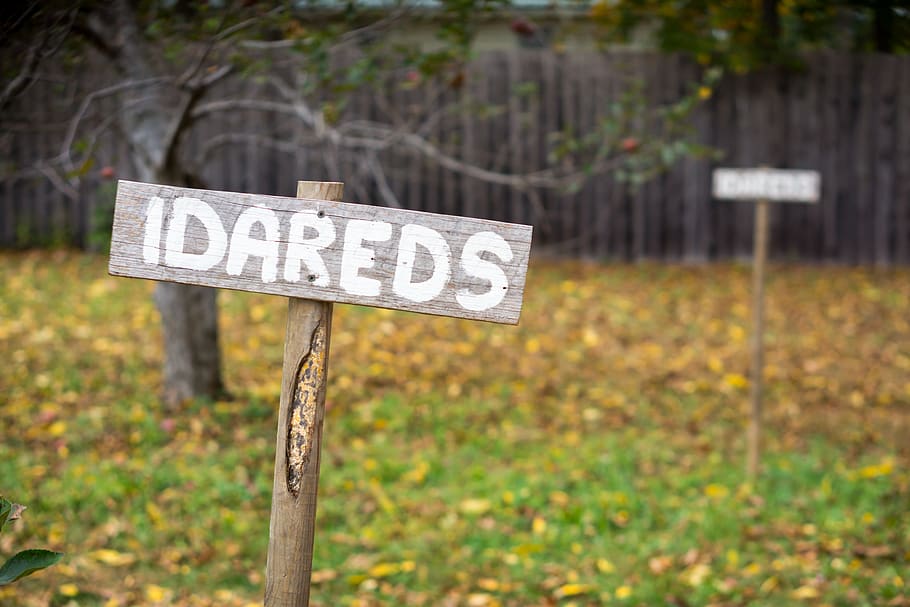 orchard, apple, fall, farm, signage, signs, red, fruit, upstate HD wallpaper