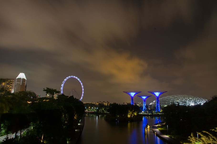 singapore, singapore botanic gardens, front, lake, city, trees, HD wallpaper