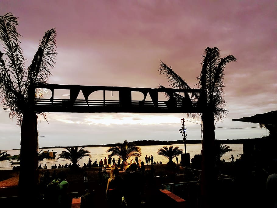 Beach Park signage, plant, tree, palm tree, arecaceae, sunset HD wallpaper