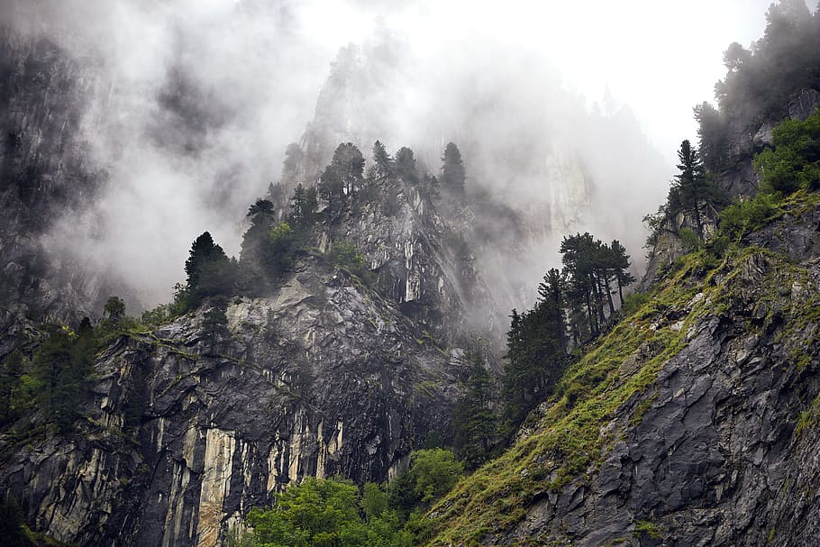 worms eye view of mountain, forest, austria, misty, fog, rock HD wallpaper