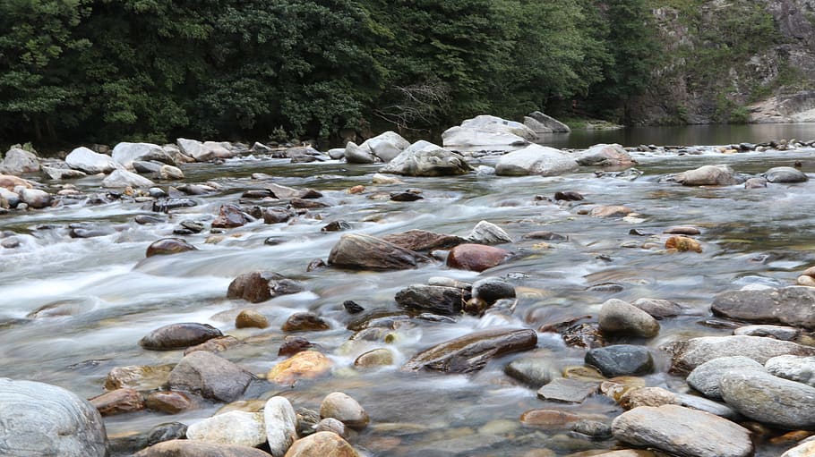fiume, lake, tree, whater, nature, natura, rock, solid, water HD wallpaper