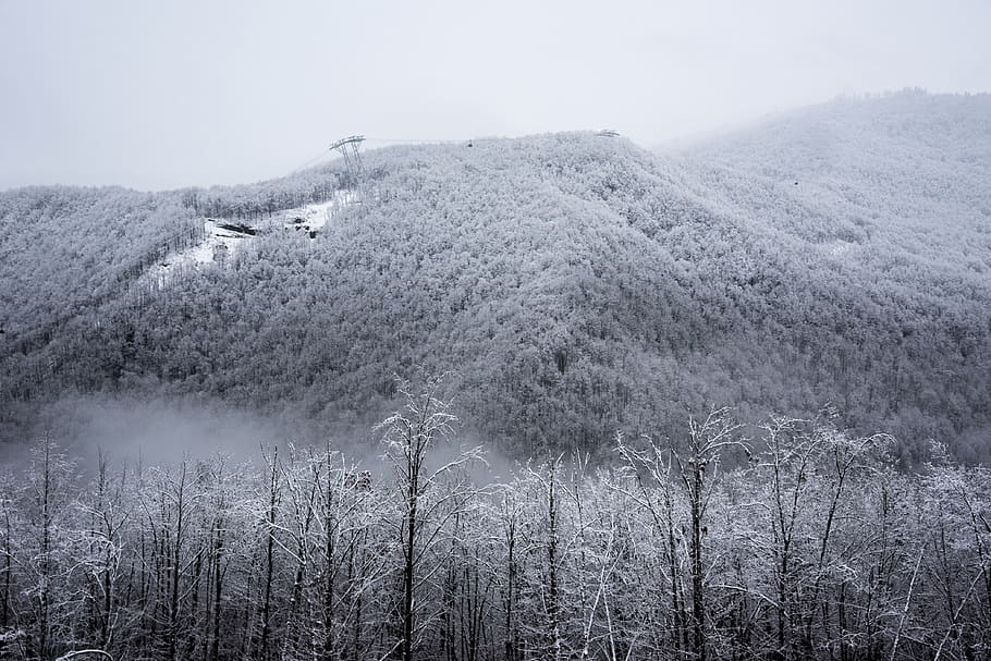 trees, forest, snow, hills, mountain, winter, russia, nikon HD wallpaper