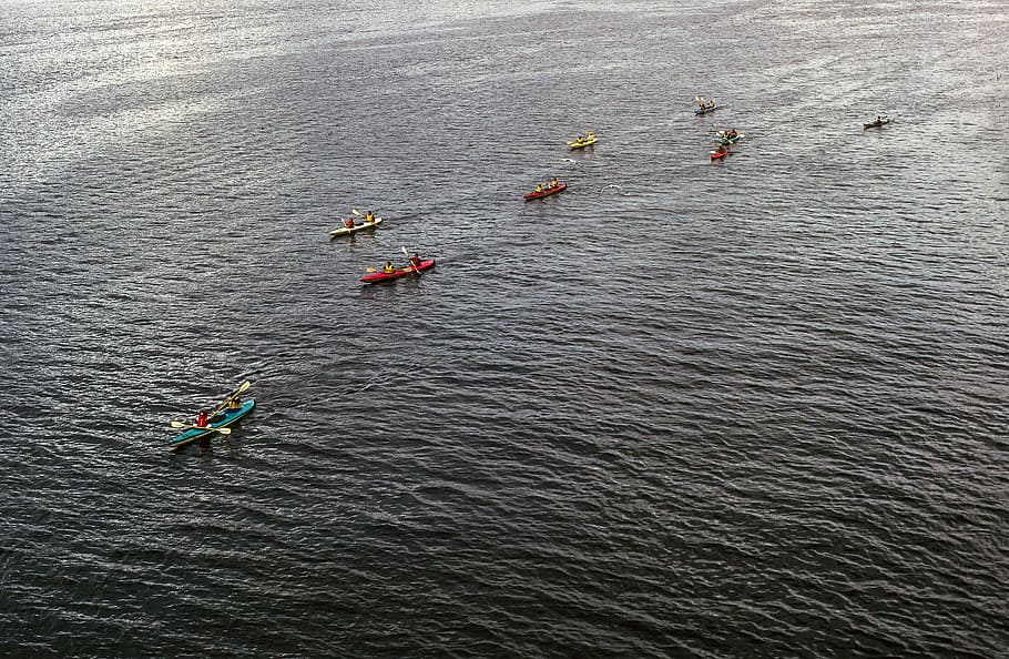 Aerial View of the team of kayakers in the sea, adventure, canoe, HD wallpaper