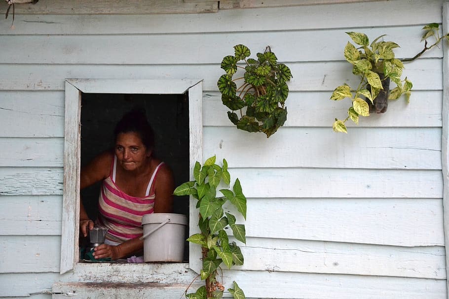 cuba, café, one person, portrait, real people, plant, lifestyles HD wallpaper
