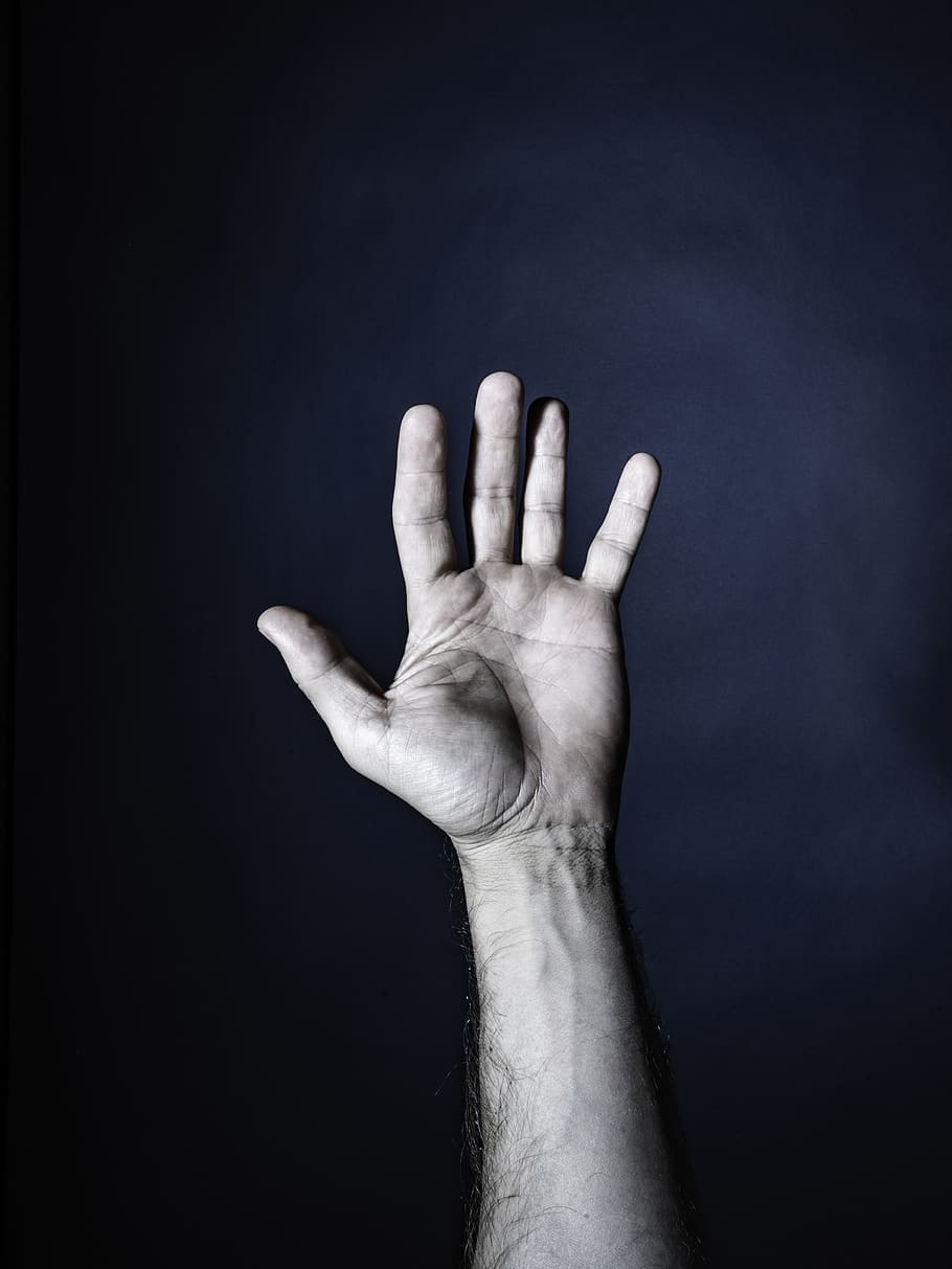 person's left hand, human hand, human body part, studio shot HD wallpaper