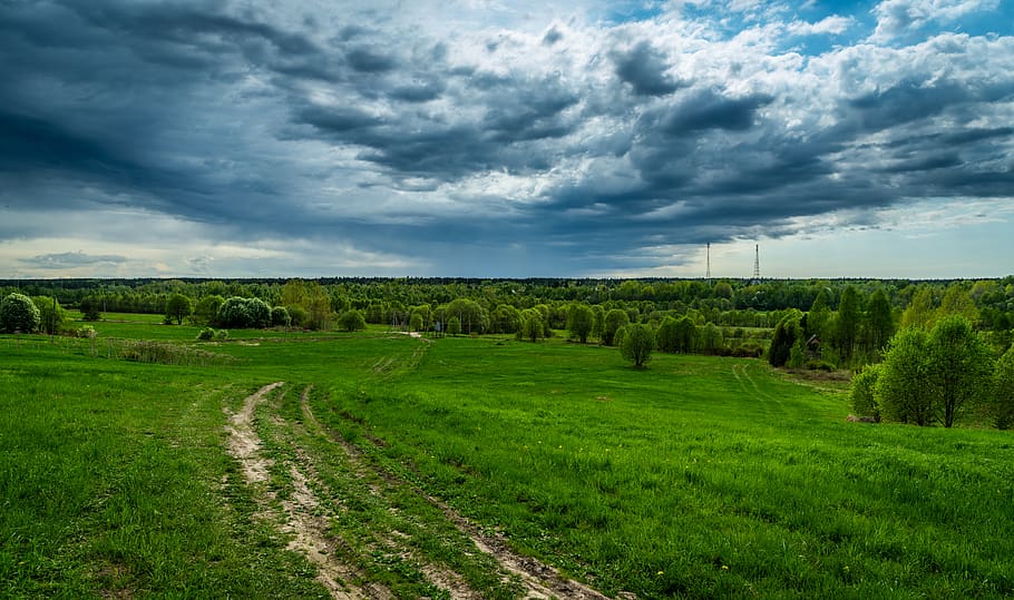 landscape, clouds, sky, grass, road, trees, cloud - sky, green color HD wallpaper