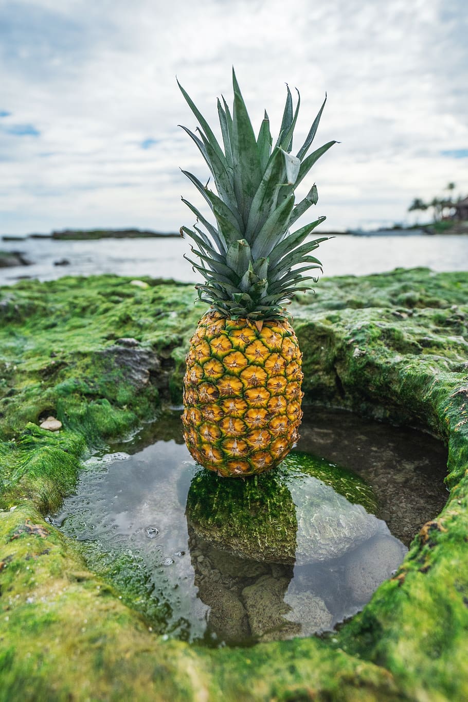 pineapple, dessert, appetizer, fruit, juice, crop, green, nature HD wallpaper