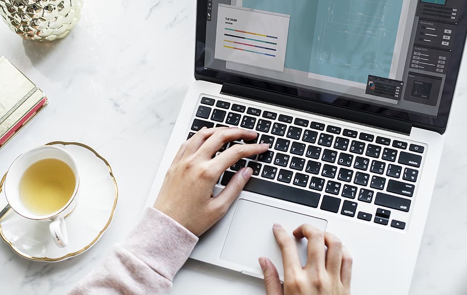 blogger, browsing, computer, cup, device, female, hand, laptop HD wallpaper