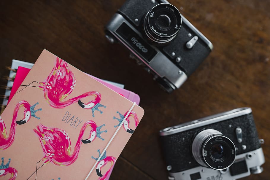 Old analog cameras and pink books on a wooden table, diary, flamingo HD wallpaper
