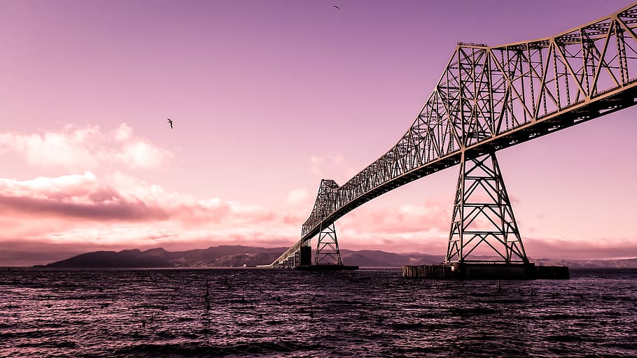 gray bridge above water, building, architecture, bird, animal HD wallpaper