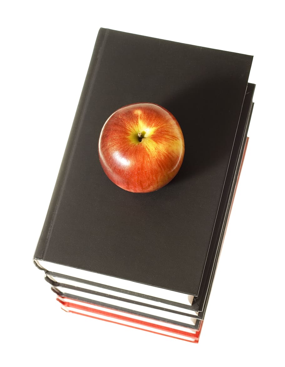 con2011, book, knowledge, literary, literature, new, object HD wallpaper
