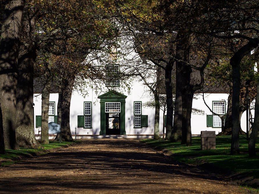 groot constantia wine estate, cape dutch architecture, historical, HD wallpaper