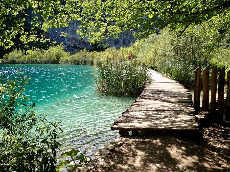 croatia, plitvička jezera, lake, water, grass, plitvice, plant