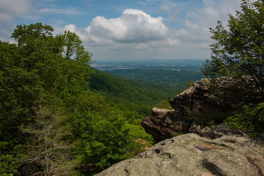 forest, trees, horizon, sky, clouds, nature, hiking, trails HD wallpaper