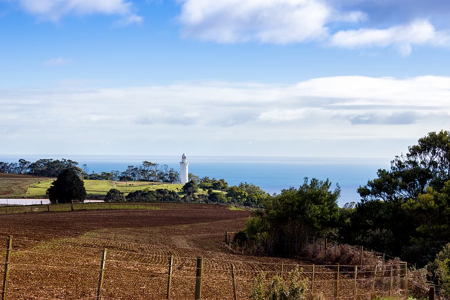 australia, table cape, table cape lookout, sky, plant, tree HD wallpaper