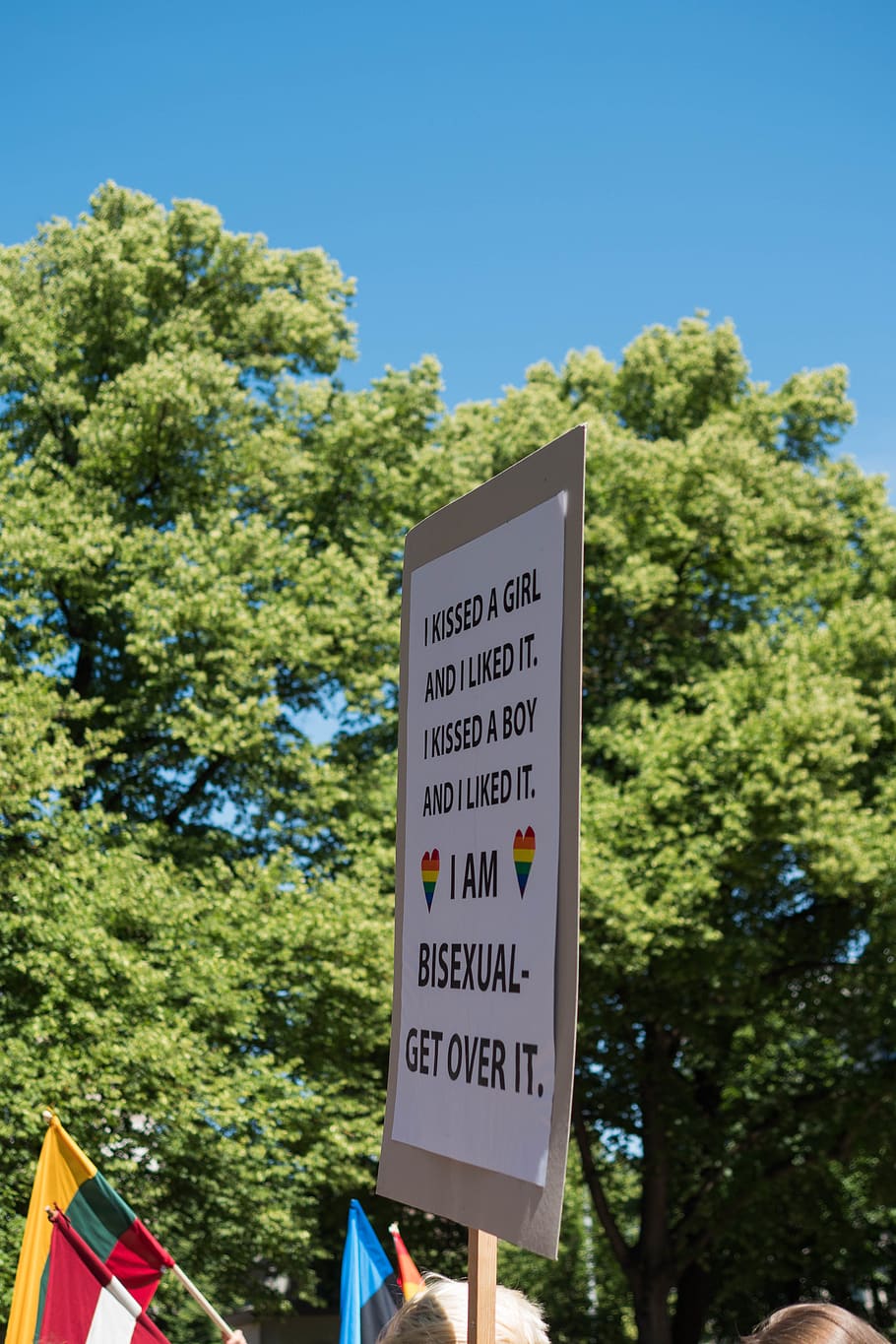 white signage, road sign, street sign, latvia, riga, flora, conifer HD wallpaper