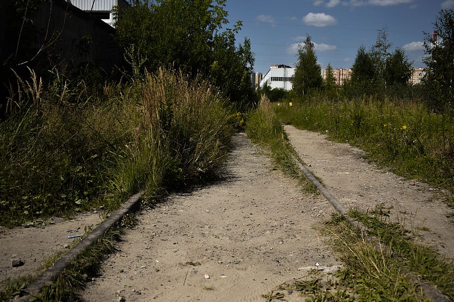 path, ground, road, nature, plant, grass, outdoors, slate, tree HD wallpaper