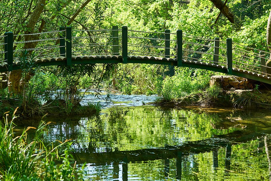 nature, park, river, waterfall, reflection, magnificent, forest HD wallpaper