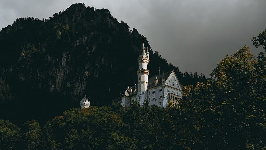 white castle in middle of mountain, tree, cliff, sky, nature HD wallpaper