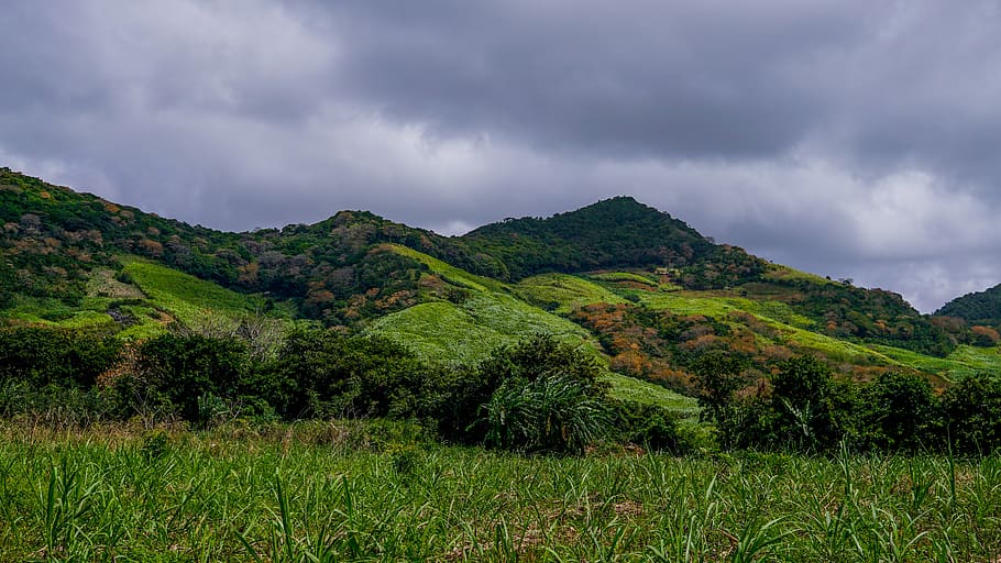 mauritius, shades, green, explore, self, clouds, hills, nature HD wallpaper