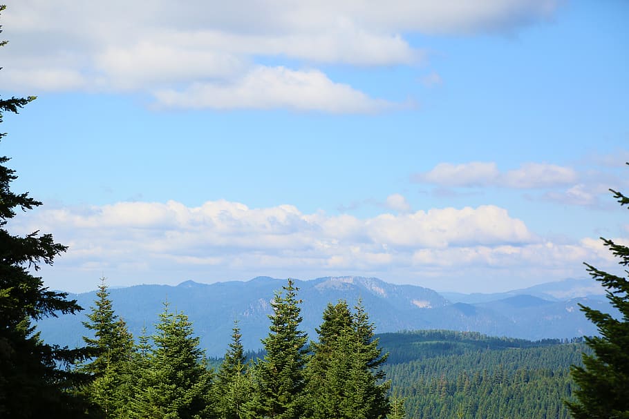 mountains, forest, paysage, landscape, nature, clouds, sky HD wallpaper