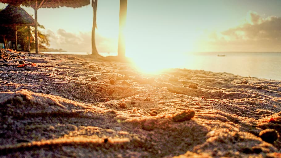 Shallow Focus Photo of Sand, beach, bright, clouds, coast, dawn HD wallpaper