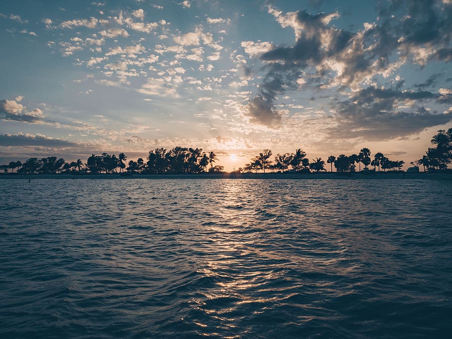 Silhouette of Trees Near Body of Water During Sunset, backlit HD wallpaper