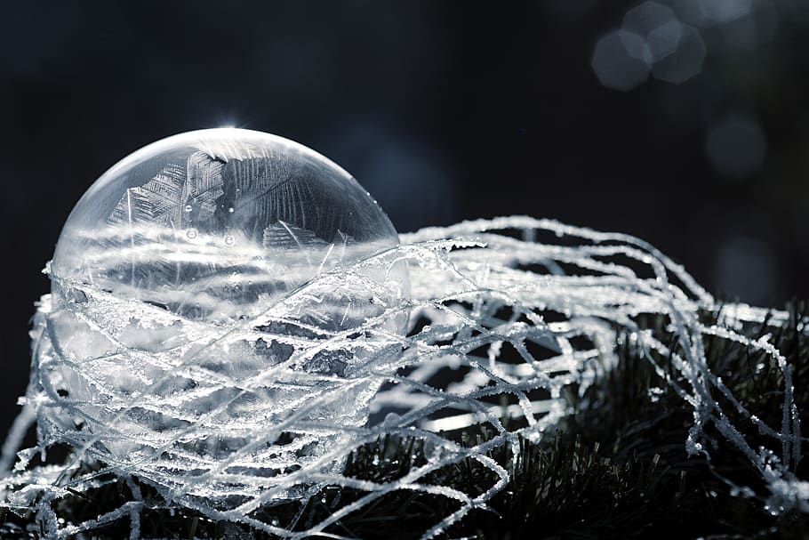 bubble, frost, network, winter, bubble blower, close-up, no people HD wallpaper