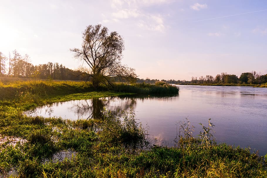 Body of Water and Green Plants Under Blue Sky, background, clouds HD wallpaper
