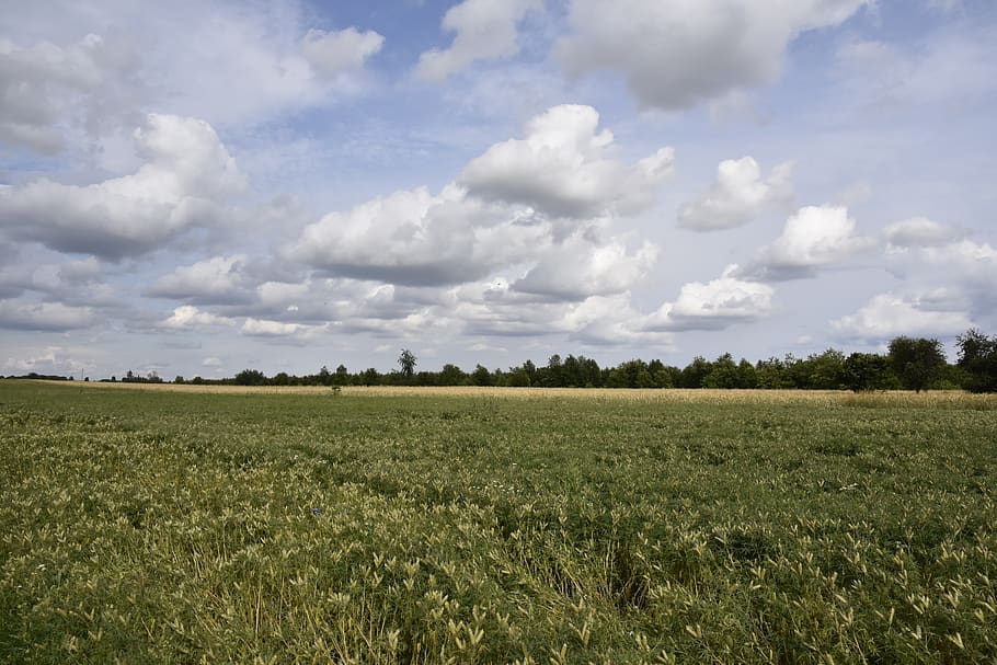 fields, landscape, nature, sky, panorama, cloud - sky, environment HD wallpaper