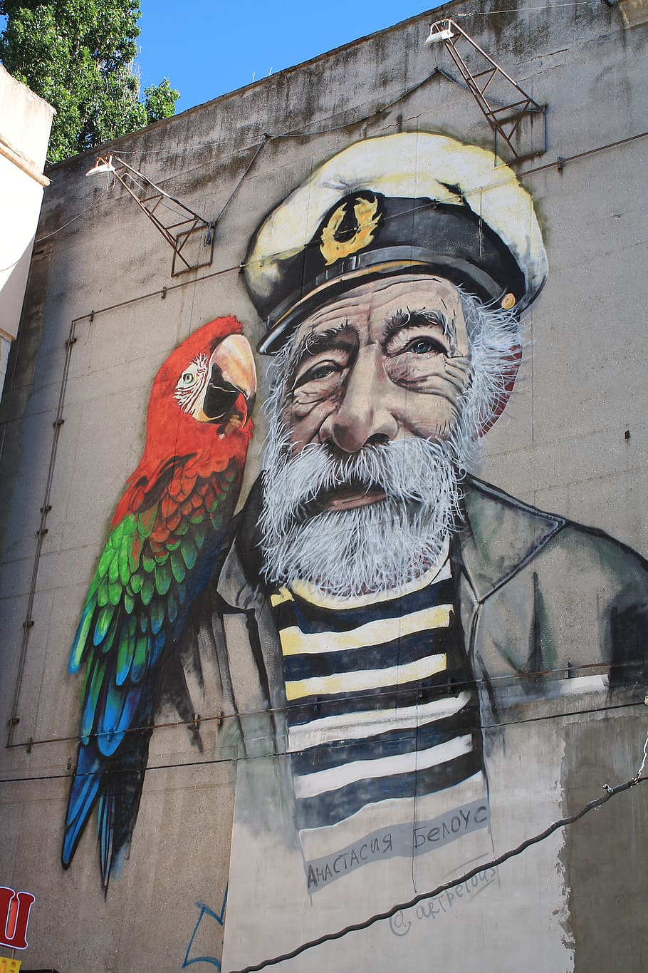 graffiti, picture, salt, sailor, parrot, ukraine, odessa, day