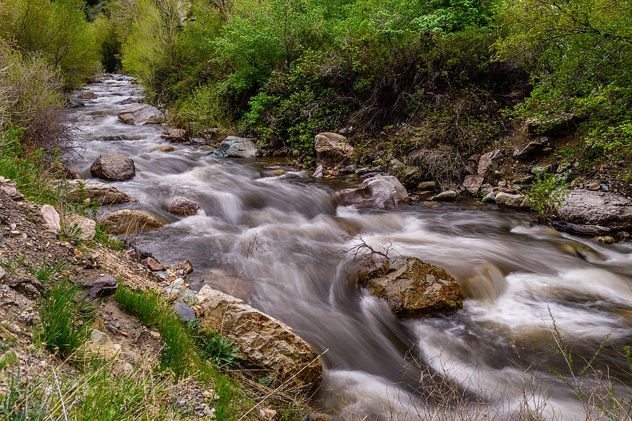 Photography of Creek, boulders, environment, flow, flowing, forest HD wallpaper