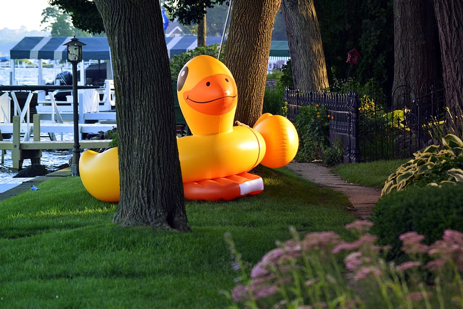 pool float, floaty, animal, duck, ducky, giant, yellow, lawn HD wallpaper