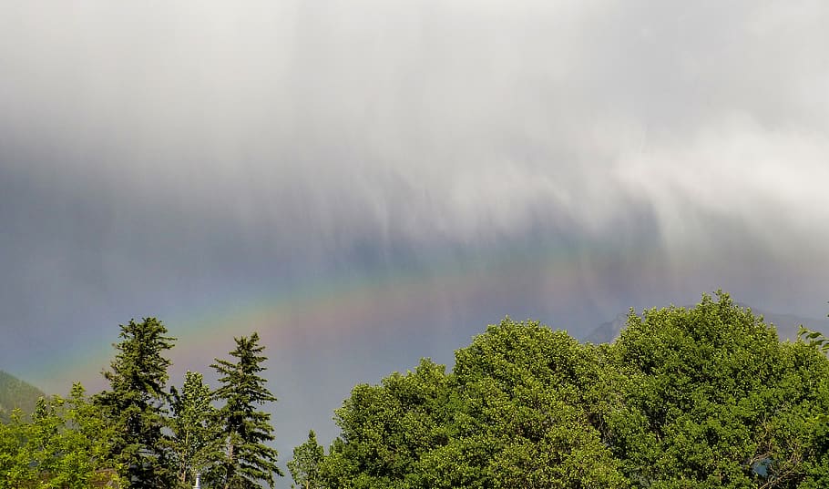 canada, canmore, sky, clouds, trees, green, leaves, rain, spring HD wallpaper
