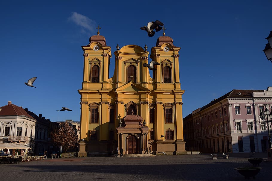 romania, timișoara, architecture, building exterior, built structure HD wallpaper