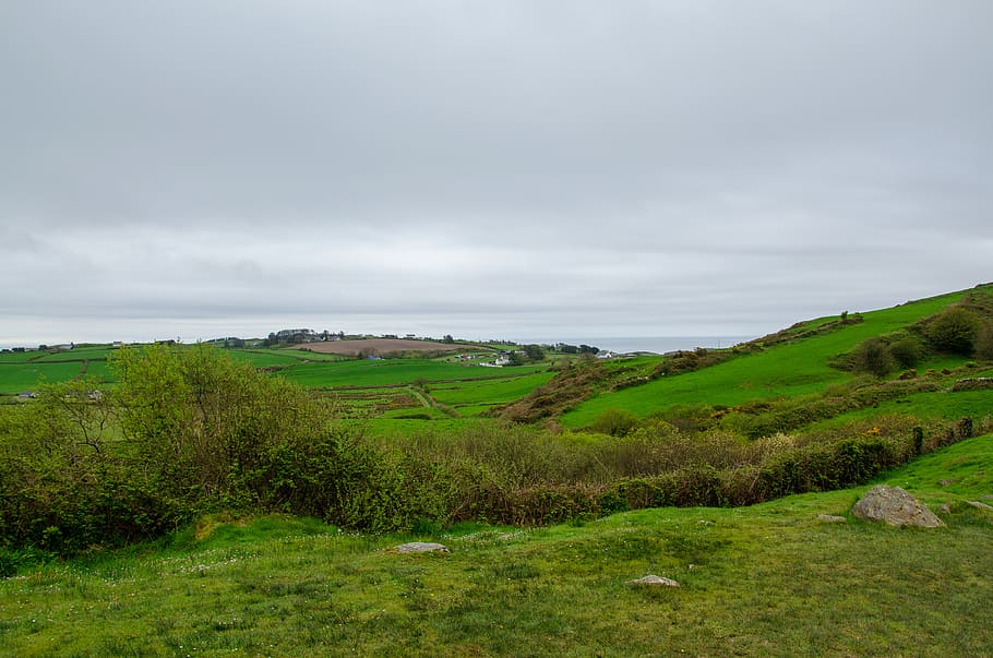 ireland, fields, farm, grass, brush, bushes, environment, scenics - nature HD wallpaper