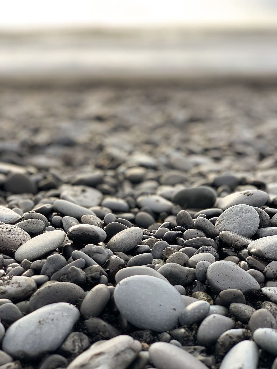 white stones, pebble, vik, iceland, plant, food, flora, bean HD wallpaper