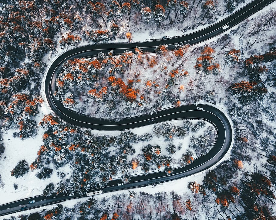 black roadway, snow, tree, high angle view, nature, transportation HD wallpaper