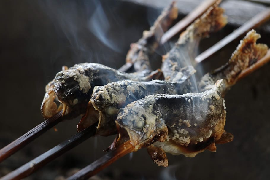 grilled fish, camping, close-up, barbecue, food, food and drink HD wallpaper
