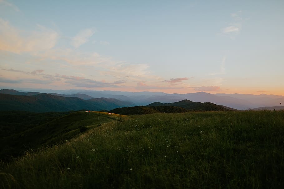 max patch, united states, fog, mountains, sunset, hike, nature