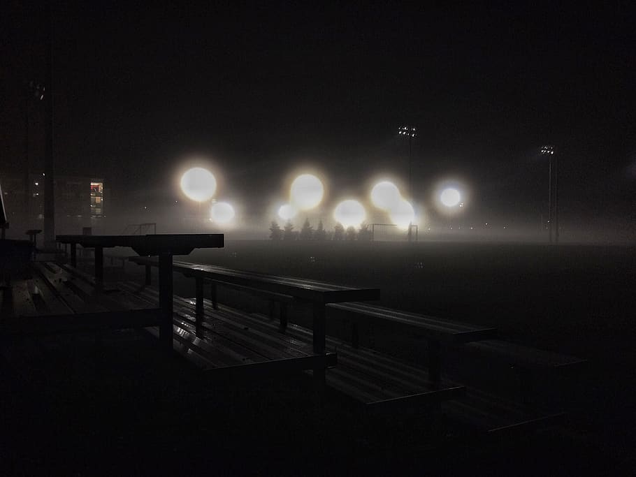fog, light, night, illuminated, lighting equipment, street light HD wallpaper