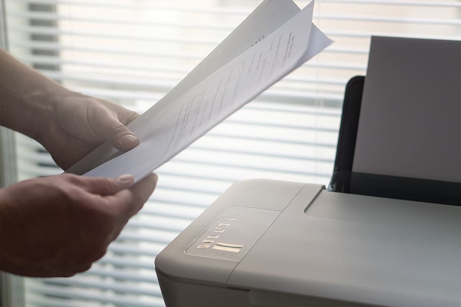 printer, paperwork, printing, man, job, working, person, office