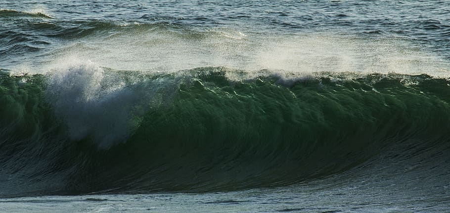 water, sea, motion, wave, sport, beauty in nature, aquatic sport HD wallpaper