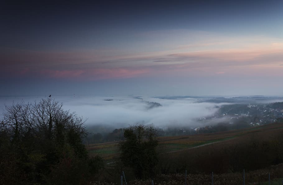 germany, bad bellingen, bamlach, crow, mountain, night, sky HD wallpaper